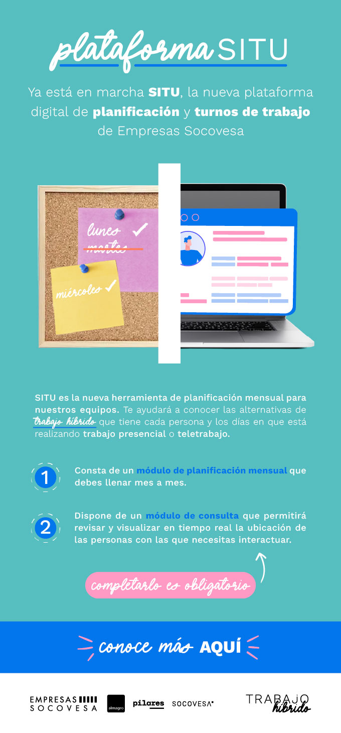 Proyecto 01