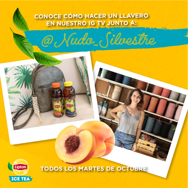 Proyecto 01