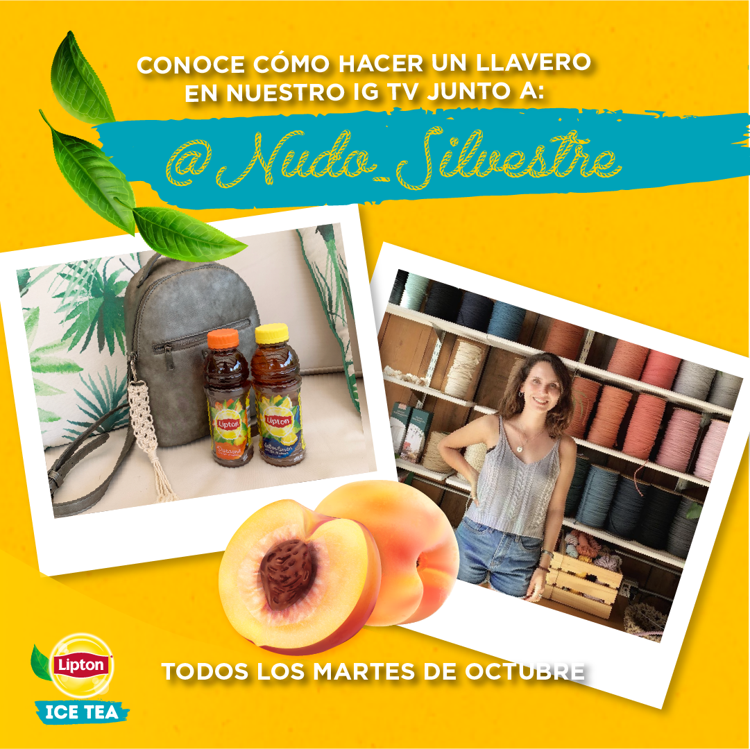 Proyecto 01